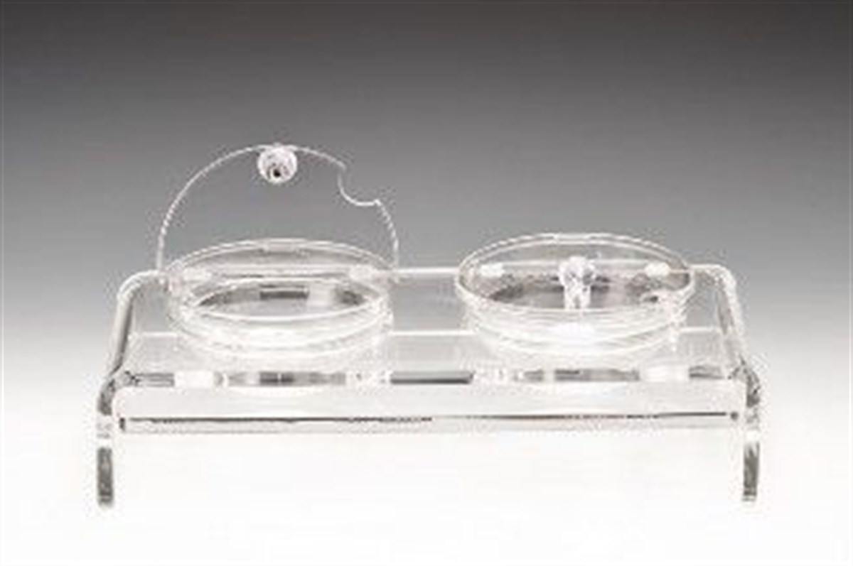 Zicco 2 li Cam Kaseli Kapaklı Kalın Akrilik Teşhir Standı 39*19 cm R 14 cm