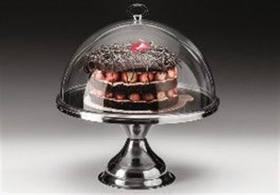 Zicco Polycarbonat Kapaklı Çelik Altlı Fanus H 36 cm