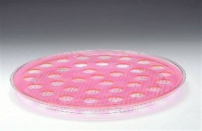 Zicco 42 cm Yuvarlak Polycarbonat Tepsili 35 li Şat Servisi