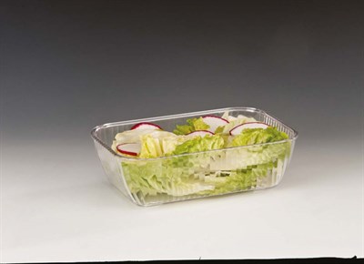 Zicco Polycarbonat Meze Kabı 18*27*H 8 cm