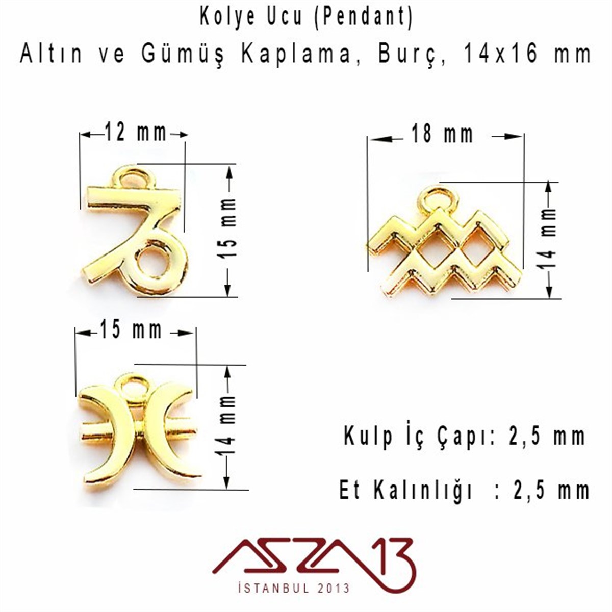 Rodyum ve 18K Altın Kaplama Oğlak-Kova-Balık Burç Kolye Ucu / Paket İçeriği 1 Adet