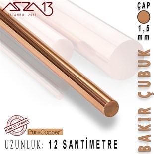 1,5 mm Çapında, 12 cm Uzunluğunda Bakır Çubuk / Paket İçeriği 5 Adet