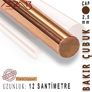 2,5 mm Çapında, 12 cm Uzunluğunda Bakır Çubuk / Paket İçeriği 5 Adet