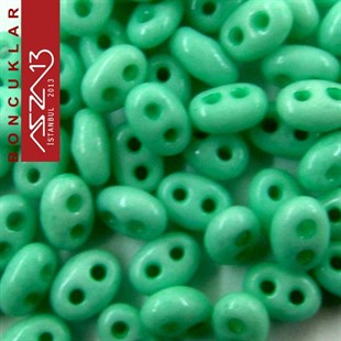65 Adet 2,5x5 mm Yeşil Renkli Twin Cam Boncuk (3,8 gr)