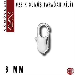 925 K Gümüş 8 mm Dikdörtgen (Papağan) Kilit / Paket İçeriği 1 Adet