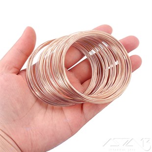 Hafızalı Bileklik Teli / Çelik / Rose Altın Renk / 6 cm / 20 Sıra