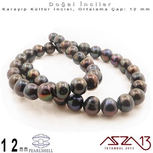 12 mm - Yuvarlak - Düz Yüzey - Doğal Karayip İnci (PearlShell) / 41 Adet (1 Dizi)