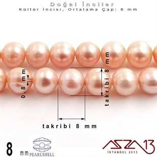 8 mm - Yuvarlak - Düz Yüzey - Doğal İnci (PearlShell) / 61 Adet (1 Dizi)