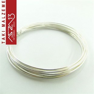 Gümüş Kaplamalı 3,0 m Uzunluğunda 80 Mikron (0,80 mm) Yumuşak Pirinç Tel / Paket İçeriği 1 Adet