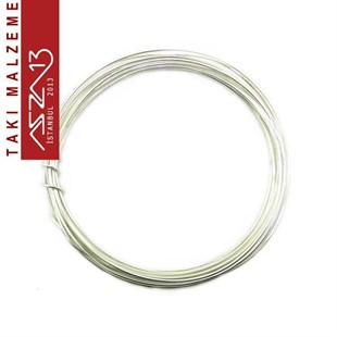 Gümüş Kaplamalı 3,0 m Uzunluğunda 80 Mikron (0,80 mm) Yumuşak Pirinç Tel / Paket İçeriği 1 Adet
