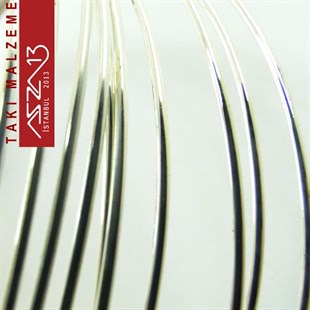 Gümüş Kaplamalı 3,0 m Uzunluğunda 50 Mikron (0,50 mm) Yumuşak Pirinç Tel / Paket İçeriği 1 Adet