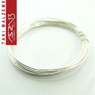 Gümüş Kaplamalı 3,0 m Uzunluğunda 50 Mikron (0,50 mm) Yumuşak Pirinç Tel / Paket İçeriği 1 Adet