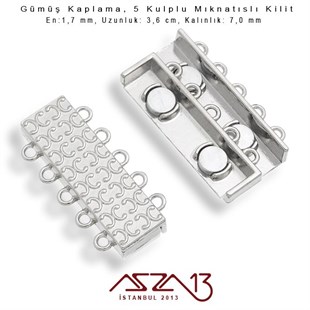 Gümüş Kaplama, 5 Kulplu Mıknatıslı Kilit / Paket İçeriği 1 Adet