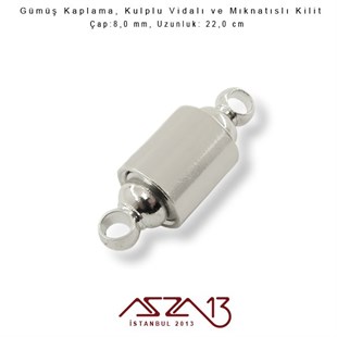 Gümüş Kaplama, Kulplu Mıknatıslı ve Vidalı Kilit / Paket İçeriği 1 Adet