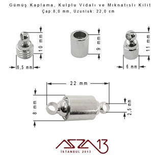Gümüş Kaplama, Kulplu Mıknatıslı ve Vidalı Kilit / Paket İçeriği 1 Adet