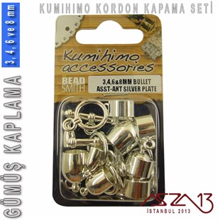 Gümüş Kaplamalı, 3,4,6 ve 8 mm Kapsül-Klips Kapama Seti
