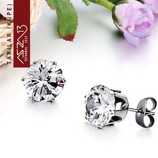 316 L Kristal 5 mm Zirkon Taşlı Küpe