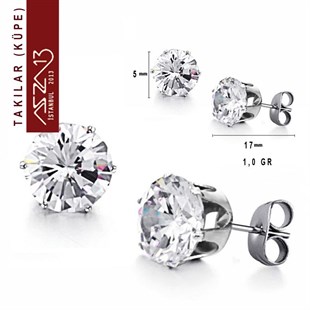 316 L Kristal 5 mm Zirkon Taşlı Küpe