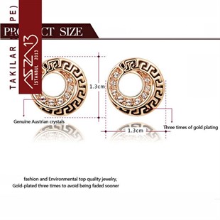 Kristal Taşlı Donut Altın Küpe