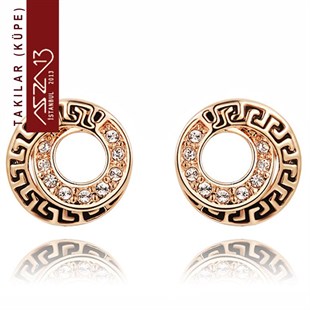 Kristal Taşlı Donut Altın Küpe