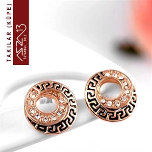 Kristal Taşlı Donut Altın Küpe
