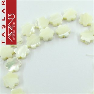 29 Adet 10 mm Beyaz Renk Yıldız Şekilli Sedef Doğal Taş (30 gr)