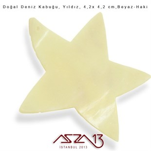 Yıldız Doğal Deniz Kabuğu 4,2x4,2 cm / 1 Adet