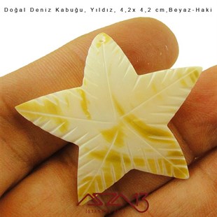 Yıldız Doğal Deniz Kabuğu 4,2x4,2 cm / 1 Adet