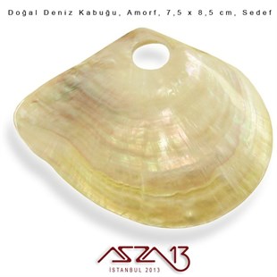 Amorf Doğal Deniz Kabuğu 7,5x8,5 cm / 1 Adet