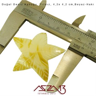 Yıldız Doğal Deniz Kabuğu 4,2x4,2 cm / 1 Adet