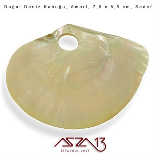 Amorf Doğal Deniz Kabuğu 7,5x8,5 cm / 1 Adet