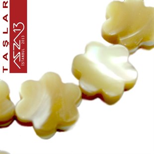 29 Adet 10 mm Kahve Krem Renk Yıldız Şekilli Sedef Doğal Taş (30 gr)