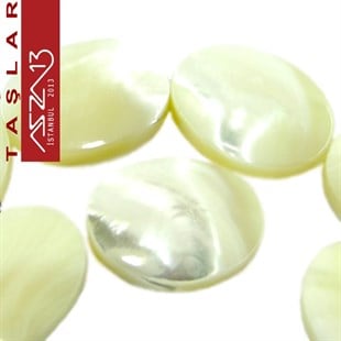 19 Adet 20X15 mm Beyaz Renk Elips Sedef Doğal Taş (52 gr)