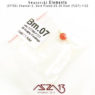 57700 F227 1122 (Lt. Siam) SS 29 Gold Plated Linked / 1 Adet