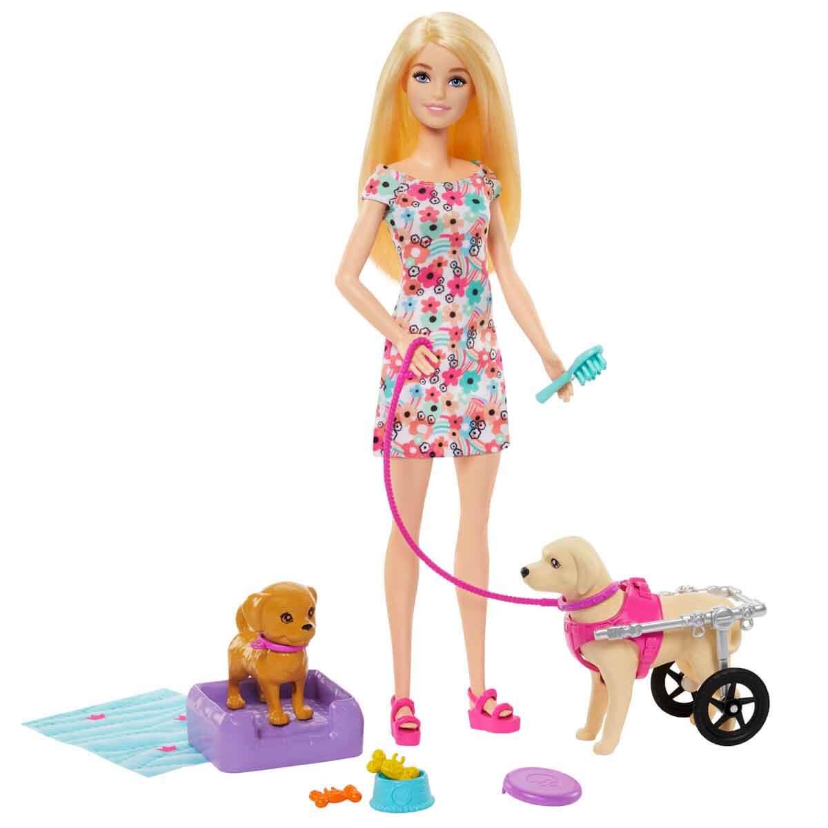 HTK37 BARBIE VE ENGELLI KOPEGI OYUN SETI