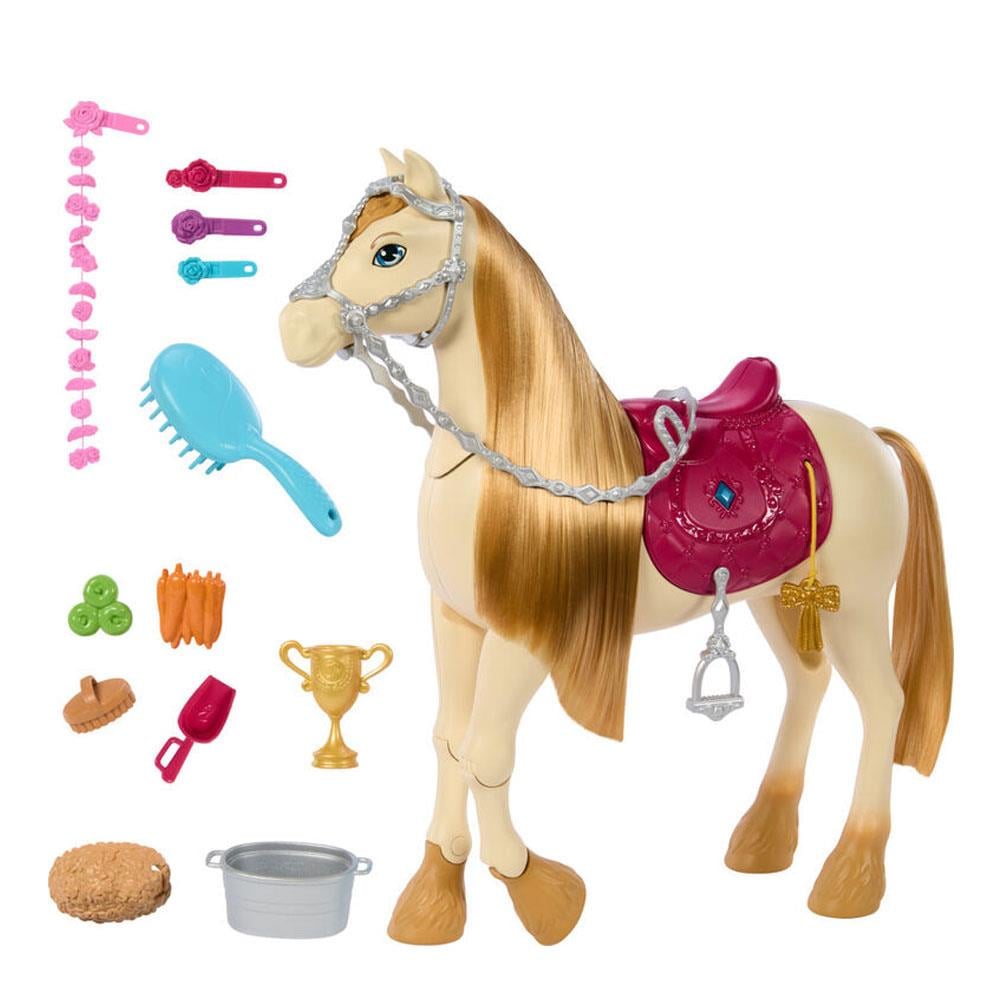 HXJ42 BARBIE VE DANSCI ATI