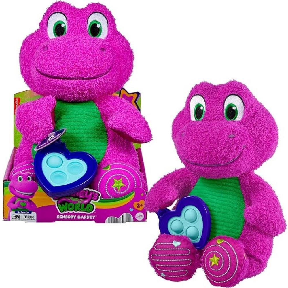 HYG89 SENSORY BARNEY