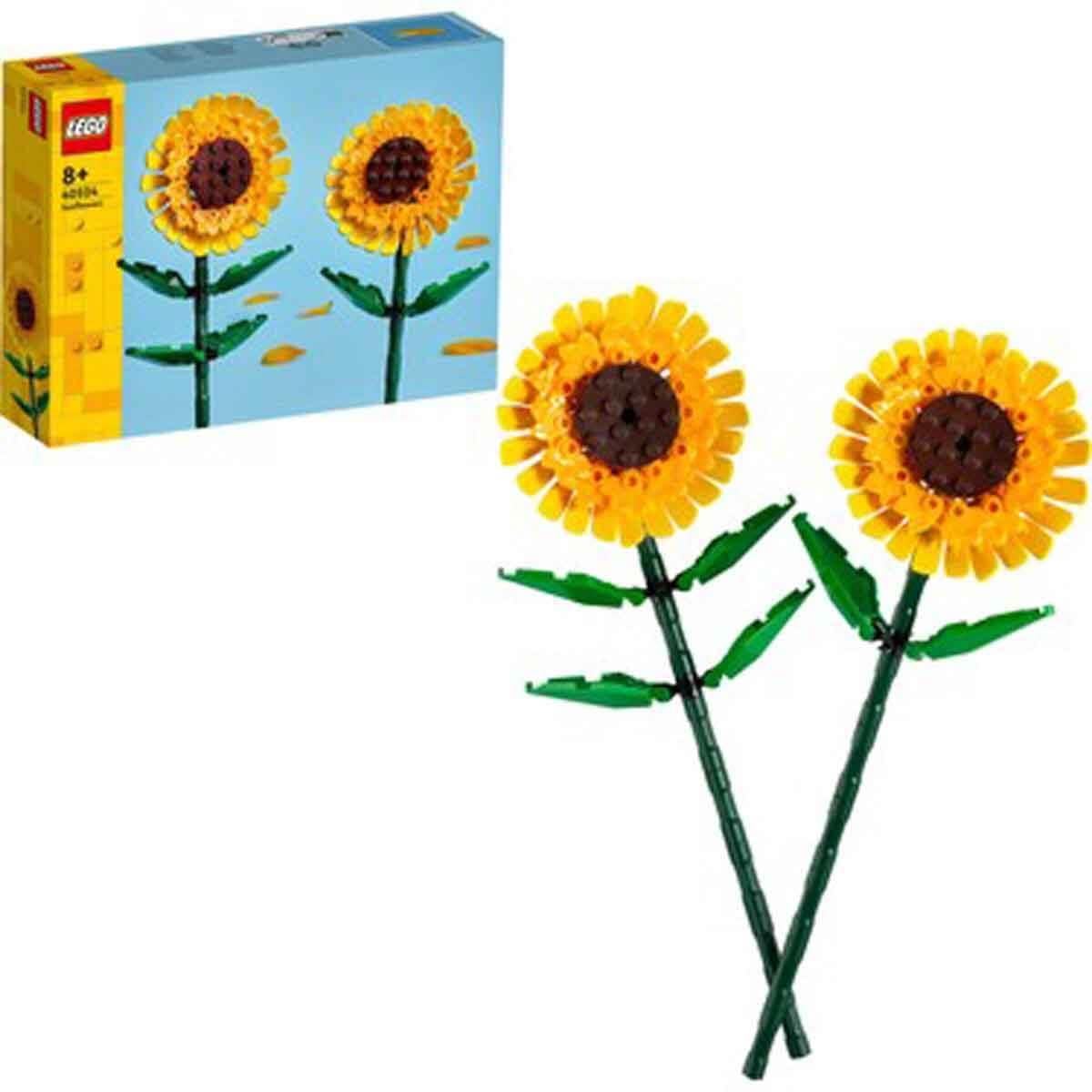 LFL40524 SUNFLOWERS