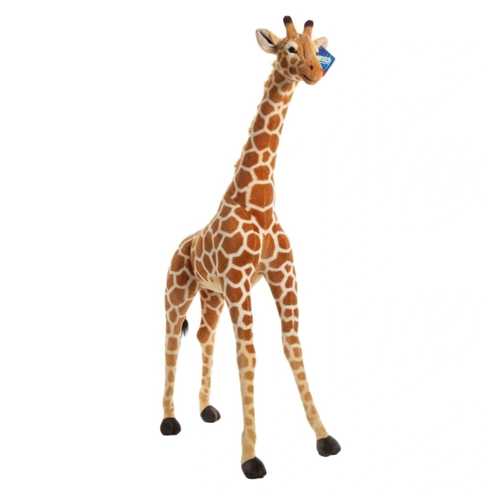 PL62445 115 CM ZURAFA