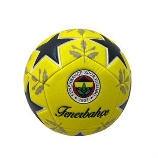 FB-5108 FENERBAHCE FUTBOL TOPU LEAF
