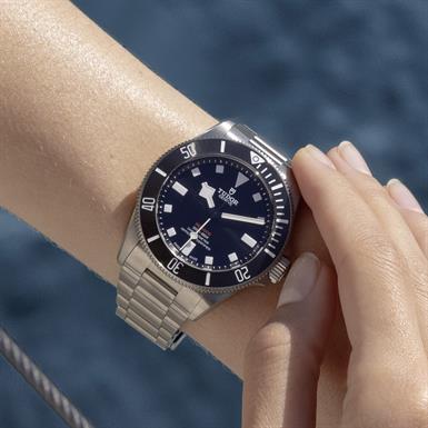 Tudor Pelagos 