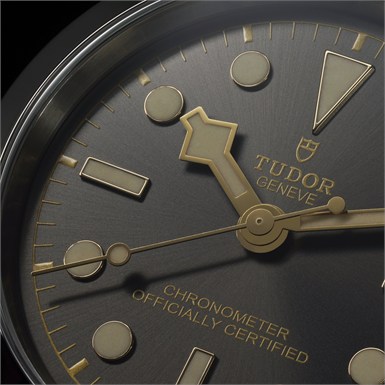 Tudor Black Bay  39