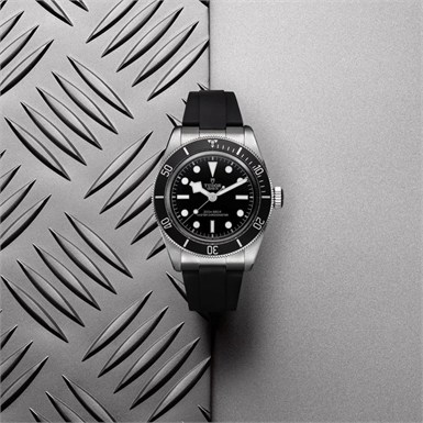 Tudor Black Bay  