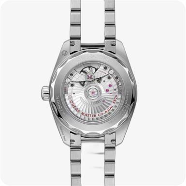 Omega Seamaster Railmaster