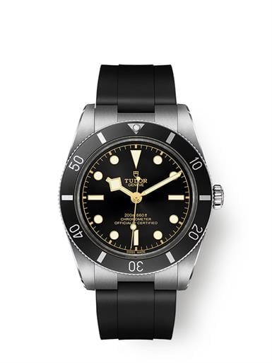 Tudor Black Bay 54 54
