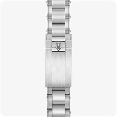 Tudor Black Bay  