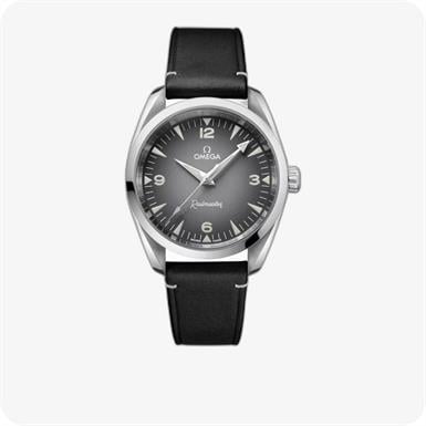 Omega Seamaster Railmaster