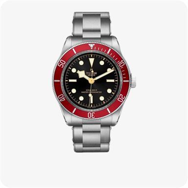 Tudor Black Bay  