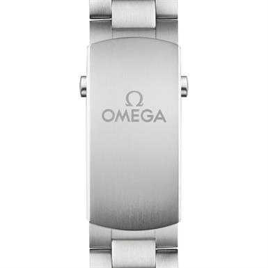 Omega Seamaster Planet Ocean