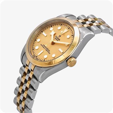 Tudor Black Bay  36 S&G